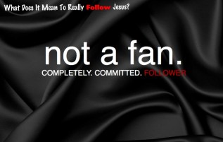 Not-A-Fan-Web-Site-1024x650.jpeg